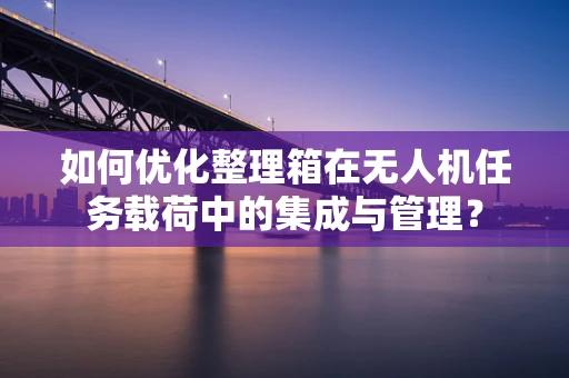 如何优化整理箱在无人机任务载荷中的集成与管理？