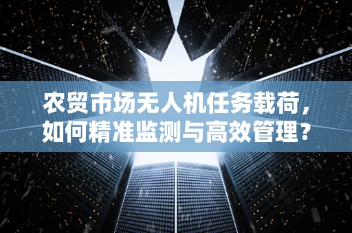农贸市场无人机任务载荷，如何精准监测与高效管理？