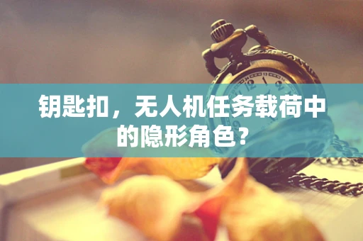 钥匙扣，无人机任务载荷中的隐形角色？