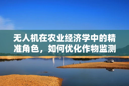 无人机在农业经济学中的精准角色，如何优化作物监测与资源分配？