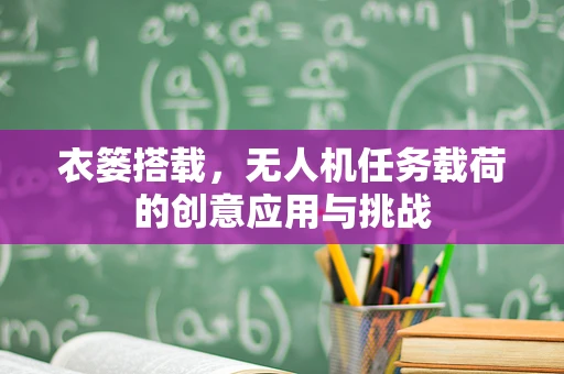 衣篓搭载，无人机任务载荷的创意应用与挑战