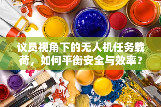 议员视角下的无人机任务载荷，如何平衡安全与效率？