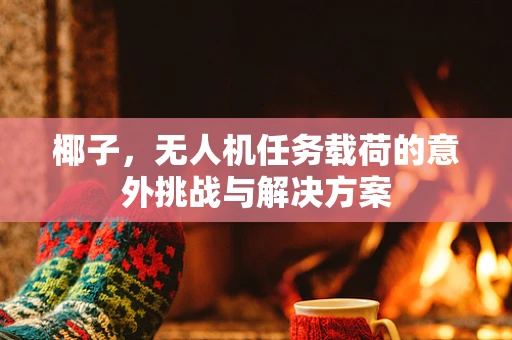 椰子，无人机任务载荷的意外挑战与解决方案