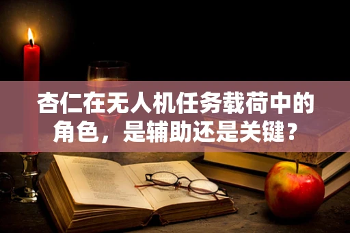 杏仁在无人机任务载荷中的角色，是辅助还是关键？