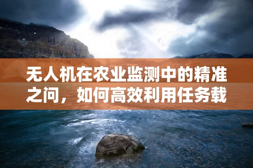 无人机在农业监测中的精准之问，如何高效利用任务载荷提升农民的作物管理效率？