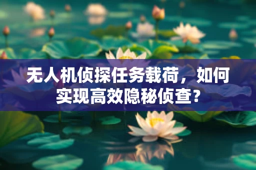 无人机侦探任务载荷，如何实现高效隐秘侦查？