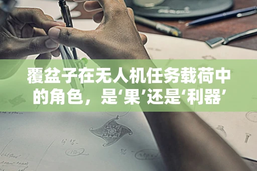 覆盆子在无人机任务载荷中的角色，是‘果’还是‘利器’？