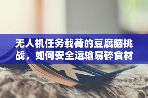 无人机任务载荷的豆腐脑挑战，如何安全运输易碎食材？