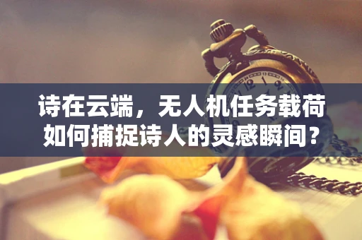 诗在云端，无人机任务载荷如何捕捉诗人的灵感瞬间？