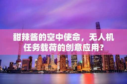甜辣酱的空中使命，无人机任务载荷的创意应用？