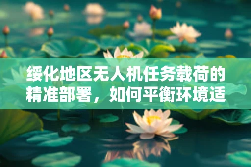 绥化地区无人机任务载荷的精准部署，如何平衡环境适应性与任务效率？