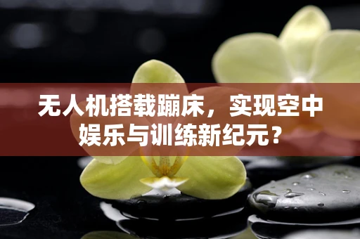 无人机搭载蹦床，实现空中娱乐与训练新纪元？