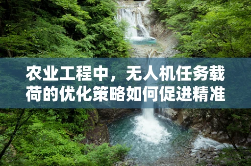 农业工程中，无人机任务载荷的优化策略如何促进精准农业发展？