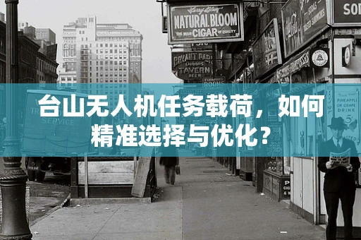 台山无人机任务载荷，如何精准选择与优化？