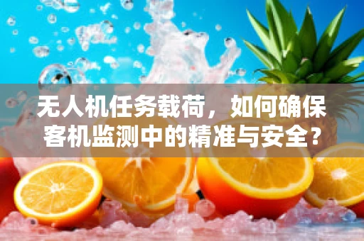 无人机任务载荷，如何确保客机监测中的精准与安全？