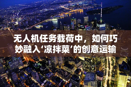 无人机任务载荷中，如何巧妙融入‘凉拌菜’的创意运输方案？