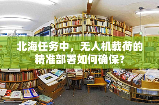 北海任务中，无人机载荷的精准部署如何确保？