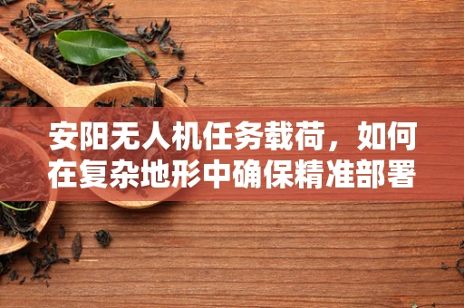 安阳无人机任务载荷，如何在复杂地形中确保精准部署？