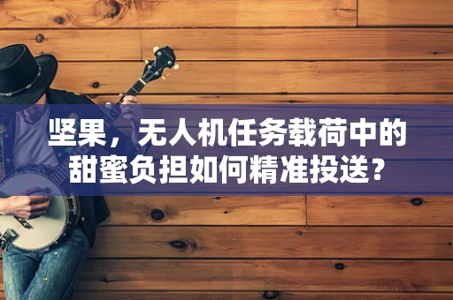 坚果，无人机任务载荷中的甜蜜负担如何精准投送？