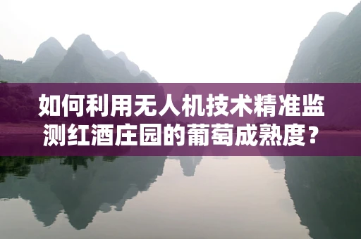 如何利用无人机技术精准监测红酒庄园的葡萄成熟度？