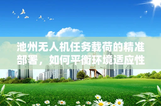池州无人机任务载荷的精准部署，如何平衡环境适应性与任务效率？