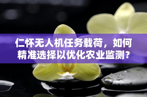 仁怀无人机任务载荷，如何精准选择以优化农业监测？