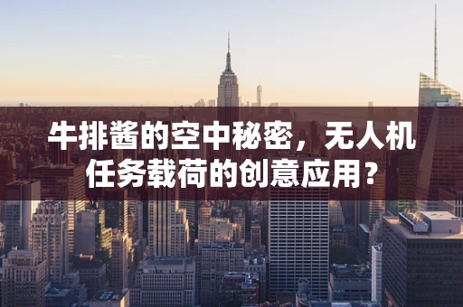 牛排酱的空中秘密，无人机任务载荷的创意应用？