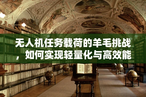 无人机任务载荷的羊毛挑战，如何实现轻量化与高效能的完美平衡？