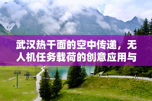 武汉热干面的空中传递，无人机任务载荷的创意应用与挑战