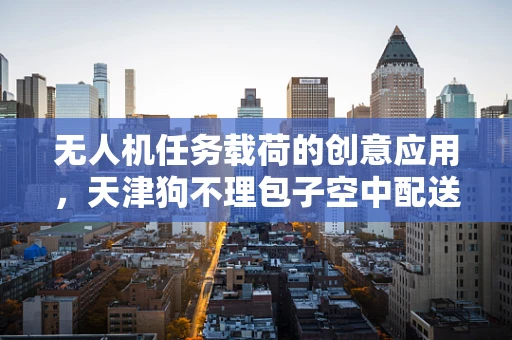 无人机任务载荷的创意应用，天津狗不理包子空中配送的可行性探索