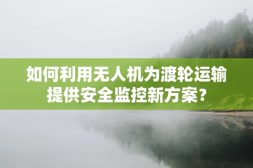 如何利用无人机为渡轮运输提供安全监控新方案？