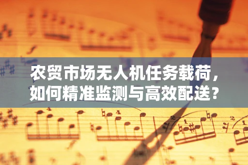 农贸市场无人机任务载荷，如何精准监测与高效配送？