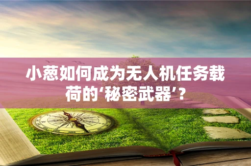 小葱如何成为无人机任务载荷的‘秘密武器’？