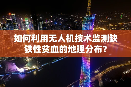 如何利用无人机技术监测缺铁性贫血的地理分布？