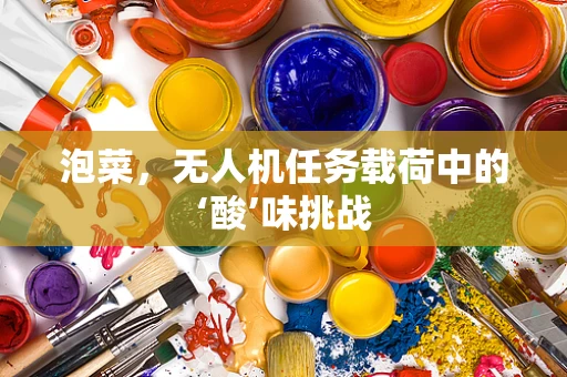 泡菜，无人机任务载荷中的‘酸’味挑战