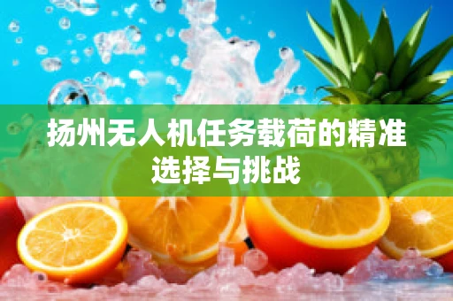 扬州无人机任务载荷的精准选择与挑战