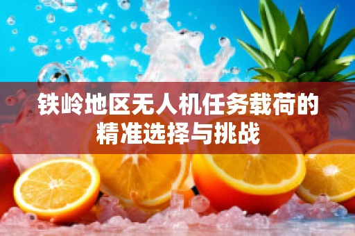 铁岭地区无人机任务载荷的精准选择与挑战