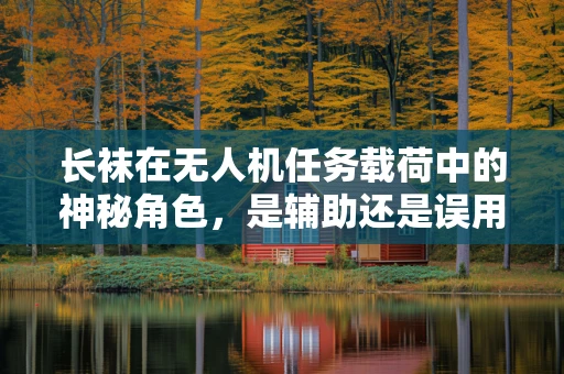 长袜在无人机任务载荷中的神秘角色，是辅助还是误用？