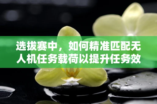 选拔赛中，如何精准匹配无人机任务载荷以提升任务效率？