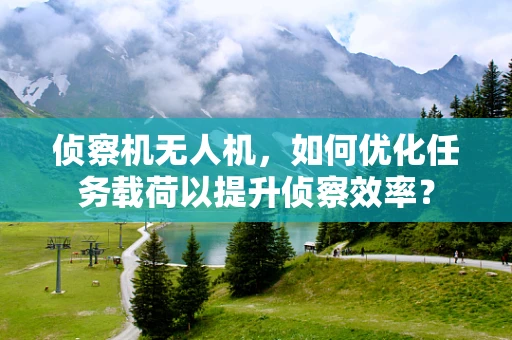 侦察机无人机，如何优化任务载荷以提升侦察效率？