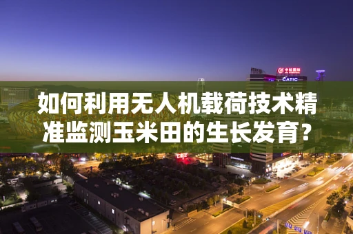 如何利用无人机载荷技术精准监测玉米田的生长发育？