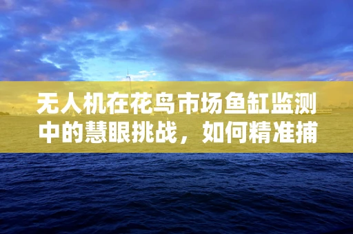 无人机在花鸟市场鱼缸监测中的慧眼挑战，如何精准捕捉水体健康？