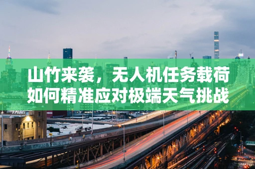 山竹来袭，无人机任务载荷如何精准应对极端天气挑战？