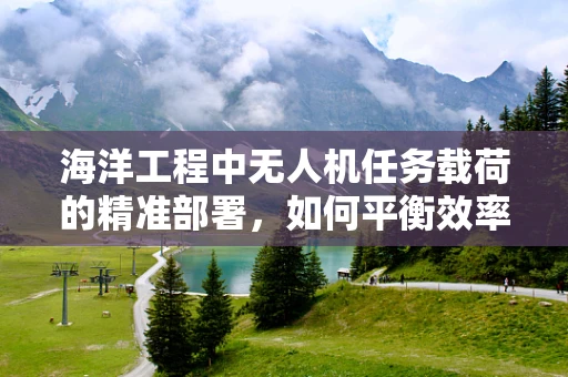 海洋工程中无人机任务载荷的精准部署，如何平衡效率与稳定性？