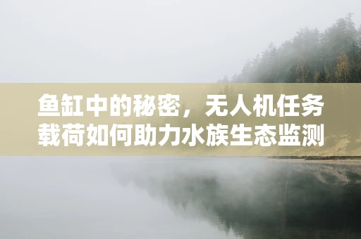 鱼缸中的秘密，无人机任务载荷如何助力水族生态监测？