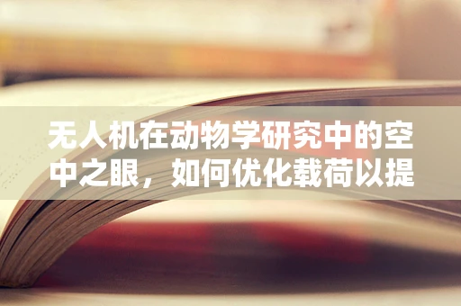 无人机在动物学研究中的空中之眼，如何优化载荷以提升野生动物监测效率？