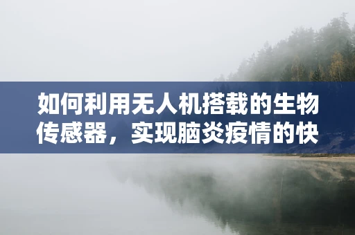 如何利用无人机搭载的生物传感器，实现脑炎疫情的快速监测？