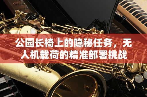 公园长椅上的隐秘任务，无人机载荷的精准部署挑战