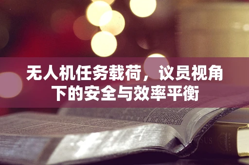 无人机任务载荷，议员视角下的安全与效率平衡