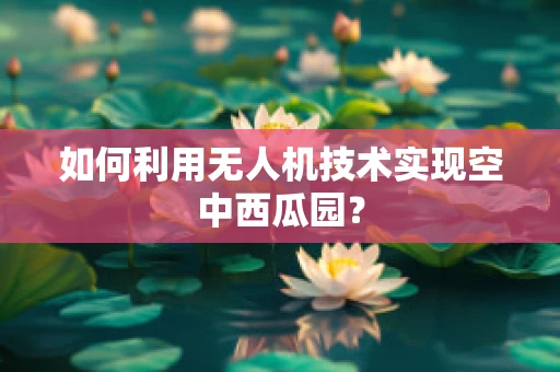 如何利用无人机技术实现空中西瓜园？